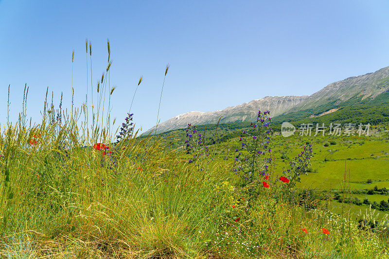 意大利Campo di Giove Abruzzo的山峰景观